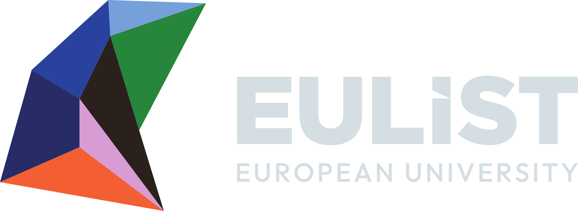 European Universities Linking Society and Technology